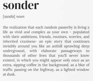 Image of the word Sonder and its definition