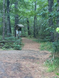 Photograph of entrance to a forest path